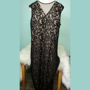 Scarlett brand nude & sequin black lace gown